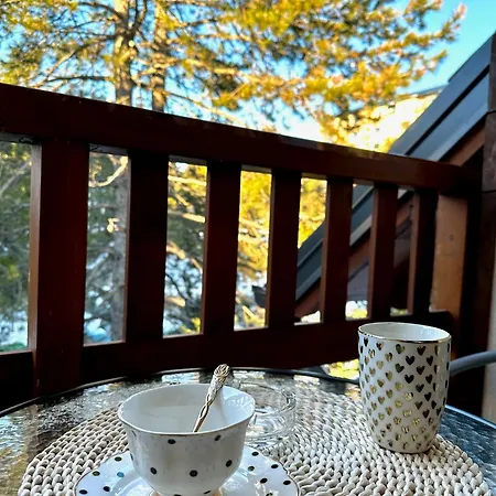 Dharma Apartman Zlatibor